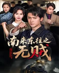 南来东往之无贼