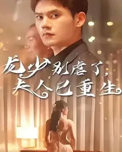 龙少别虐了,夫人已重生