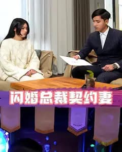 闪婚总裁契约妻