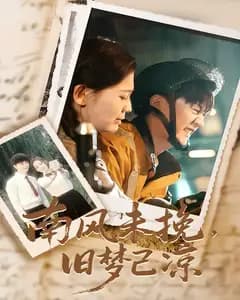 南风未挽,旧梦已凉