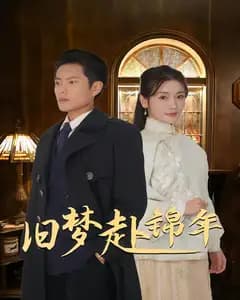 旧梦赴锦年