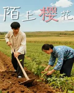 陌上樱花