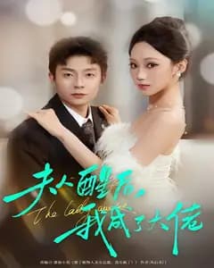 夫人醒后,我成了大佬