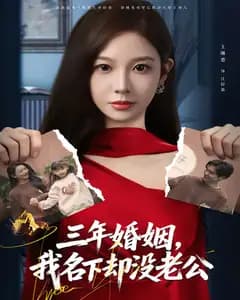 三年婚姻,我名下却没老公