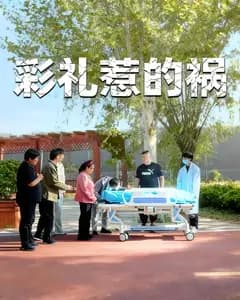 彩礼惹的祸