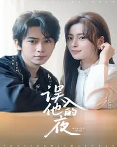误入他的夜