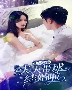 报告总裁:夫人带球结婚啦