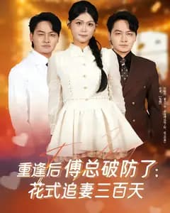 重逢后傅总破防了:花式追妻三百天