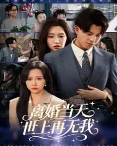 离婚当天,世上再无我