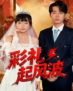 彩礼起风波