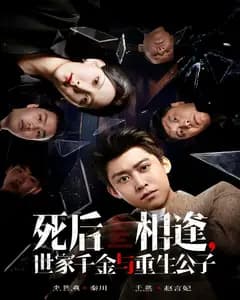 死后相逢,世家千金与重生公子