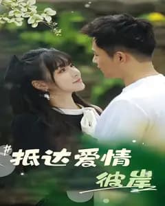 抵达爱情彼岸