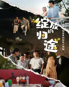 绽放的归途