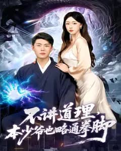 不讲道理,本少爷也略通拳脚
