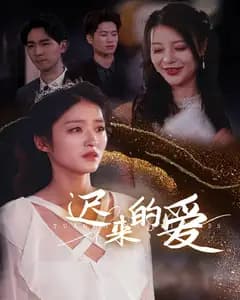 迟来的爱