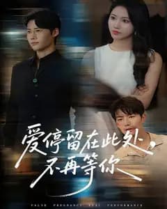 爱停留在此处,不再等你