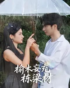 榆木妄充栋梁材