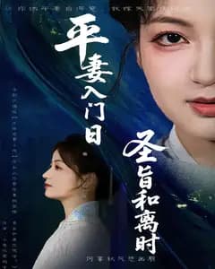 平妻入门日圣旨和离时