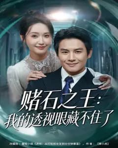 赌石之王:我的透视眼藏不住了