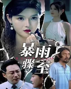 暴雨骤至