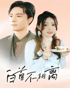 白首不相离