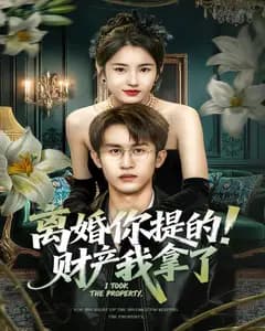 离婚你提的!财产我拿了