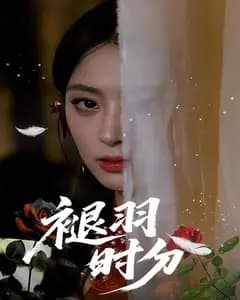 褪羽时分
