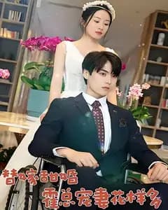 替嫁甜婚:霍总宠妻花样多