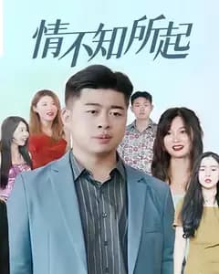 情不知所起