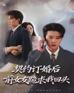 契约订婚：前女友跪求我回头