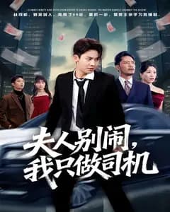 夫人别闹,我只做司机