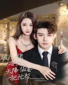 破产大佬不要慌,天降仙妻把忙帮