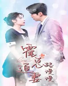 霍总追妻路漫漫