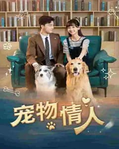 宠物情人