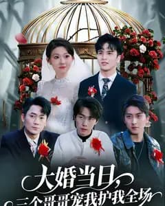 大婚当日,三个哥哥宠我护我全场