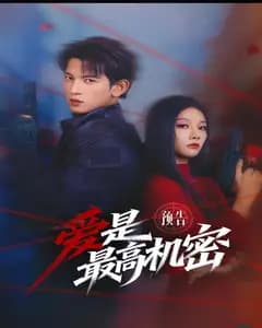爱是最高机密