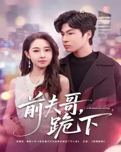 前夫哥,跪下