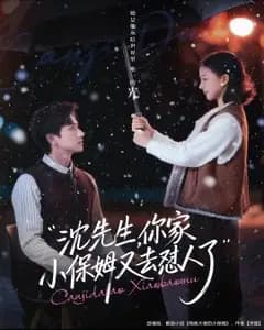 沈先生的怼人小保姆