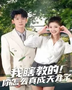 我瞎教的天才