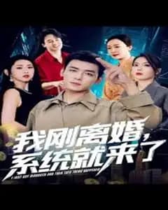 刚离婚系统就来了