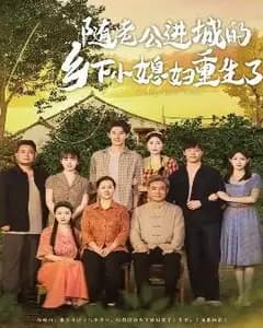 重生之进城小媳妇