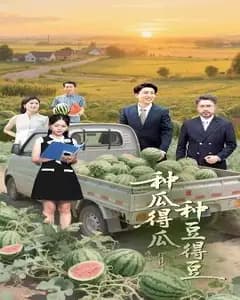因果游戏