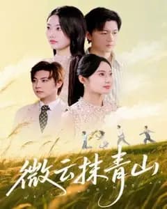 微云抹青山