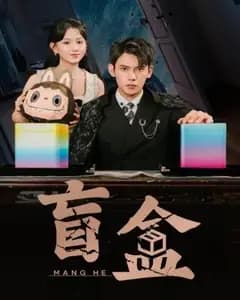 盲盒人生