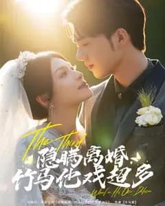 离婚隐瞒日记