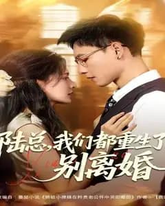 重生陆总:拒离婚