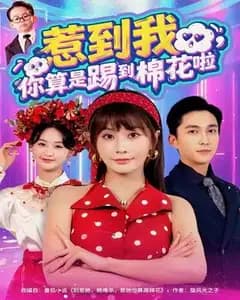 惹我?你踢到棉花啦