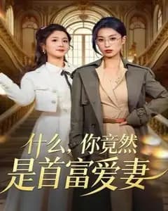 你竟然是首富爱妻