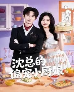 沈总的偏宠小厨娘