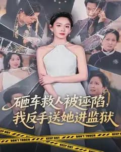 砸车救人被诬陷,我反手送她进监狱